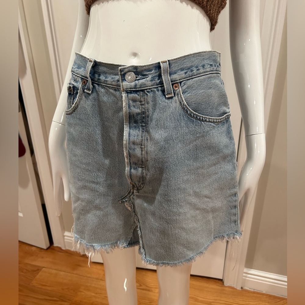 Elizabeth and James Denim Skirt